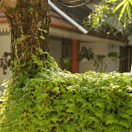 Mi Casa Tu Casa Homestay Kochi Exterior foto